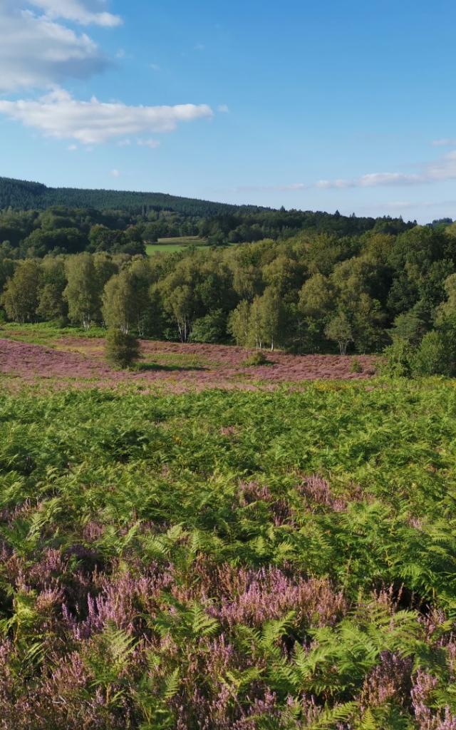 Landes du Puy de la Croix