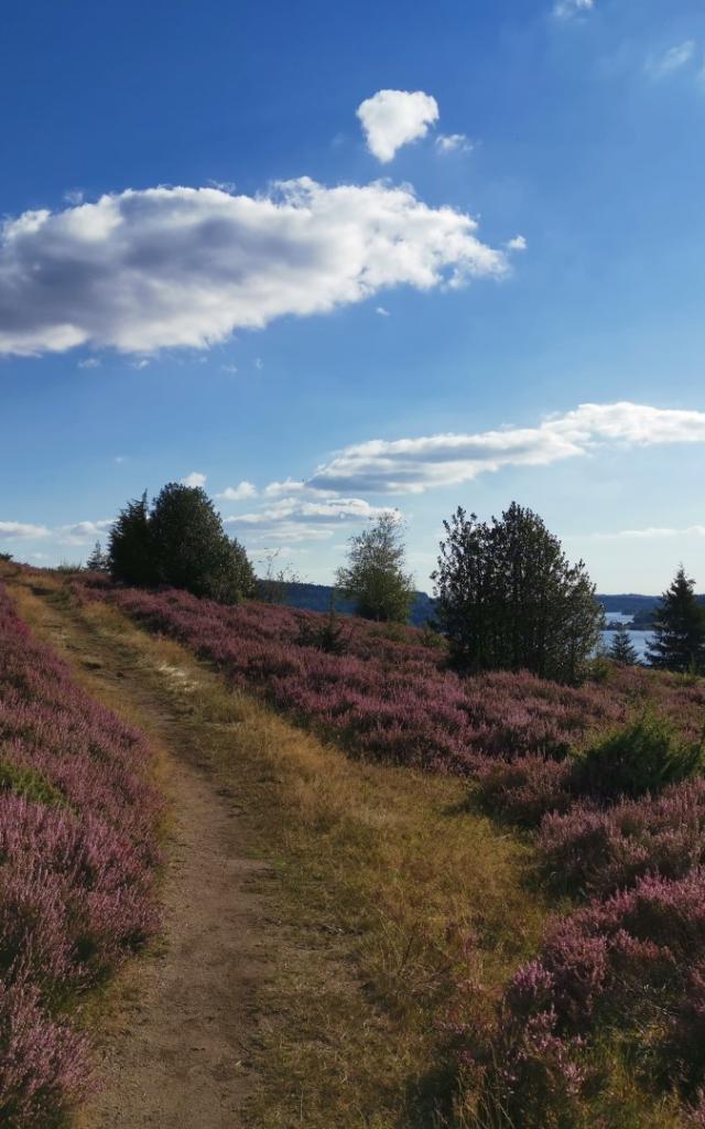 Landes du Puy de la Croix