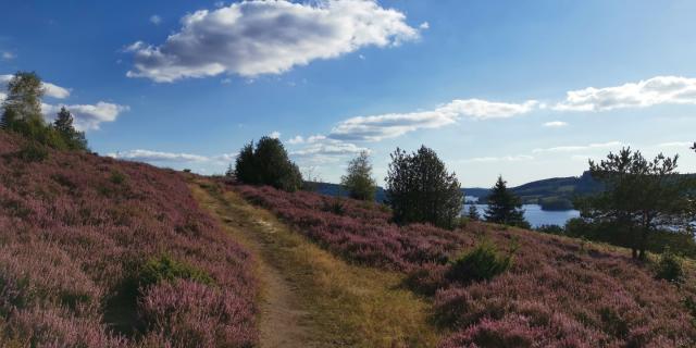 Landes du Puy de la Croix