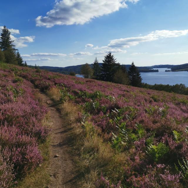 Landes du Puy de la Croix