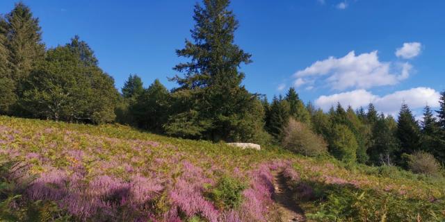 Landes du Puy de la Croix