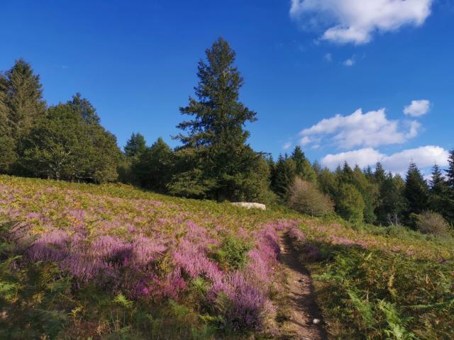 Landes du Puy de la Croix