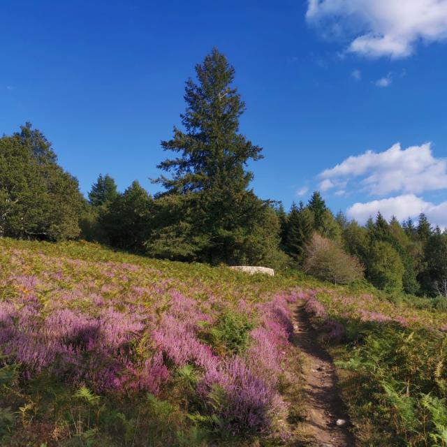 Landes du Puy de la Croix