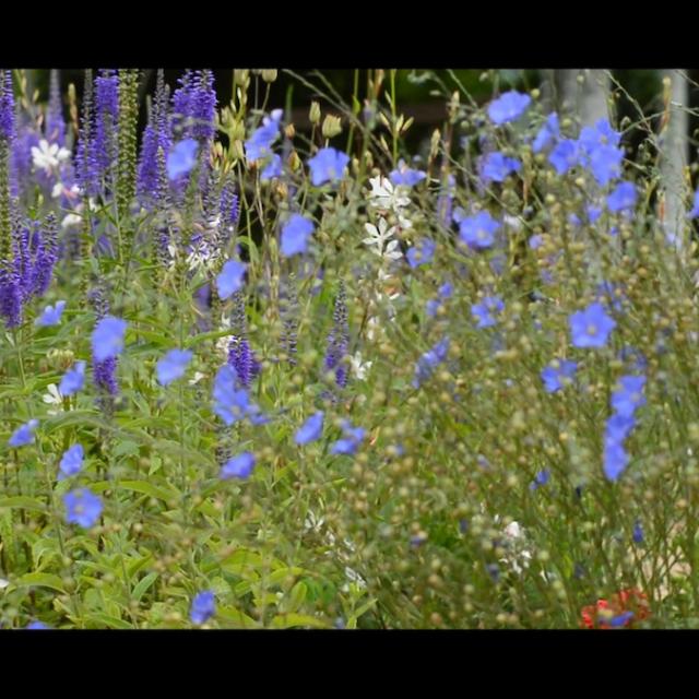 Jardin De Banizette2