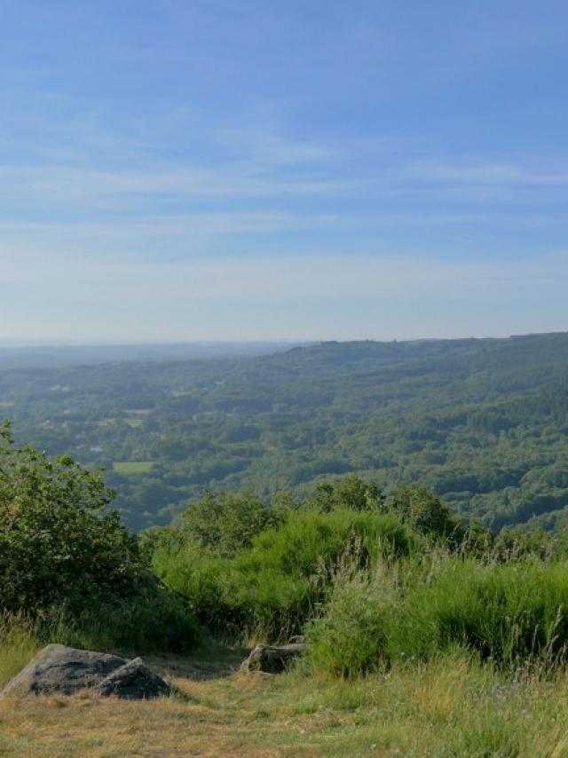 puy-du-gaudy-gueret-creusesaison-dor1.jpg