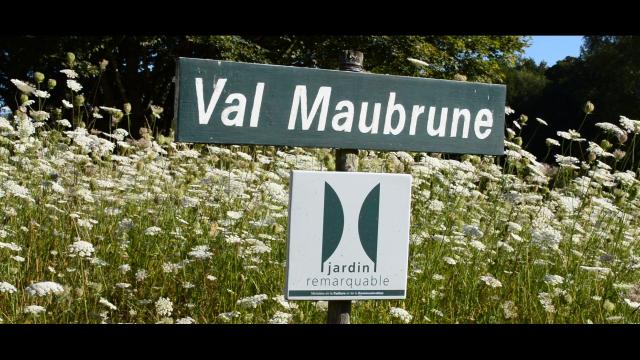 Valmaubrune