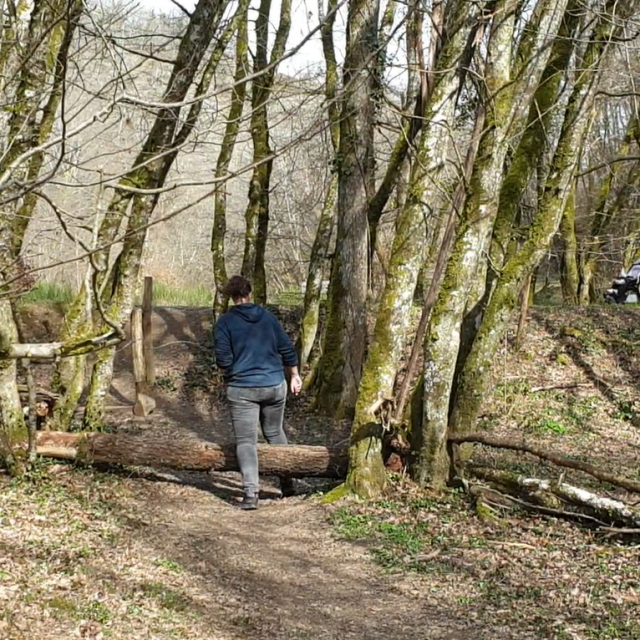 12-bois-de-lassoux-franchissement-branche.png