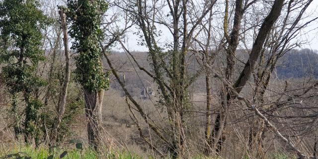 14-bois-de-lassoux-vue-pont-suspendu.jpg