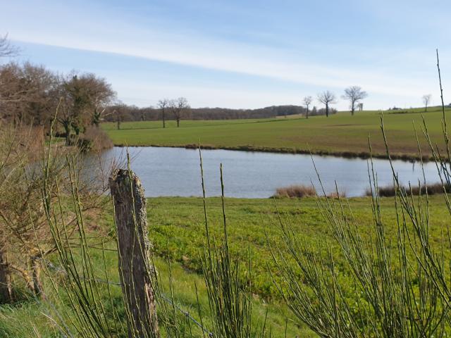 30-bois-de-lassoux-etang-ferme.jpg