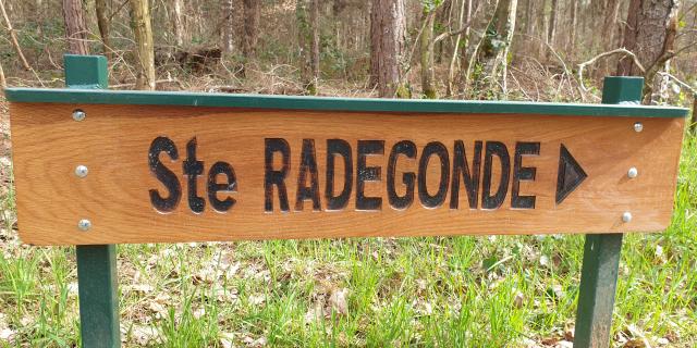 4-bois-de-lassoux-pannea-ste-radegonde.jpg