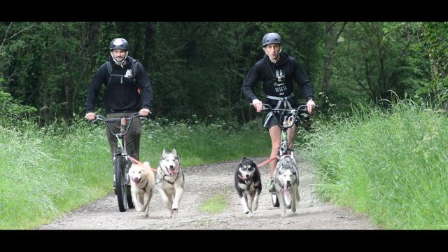 Cani Trotinnette Husk'in Creuse1