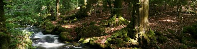 Cascade d'Augerolles