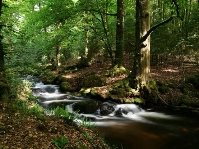 Cascade d'Augerolles