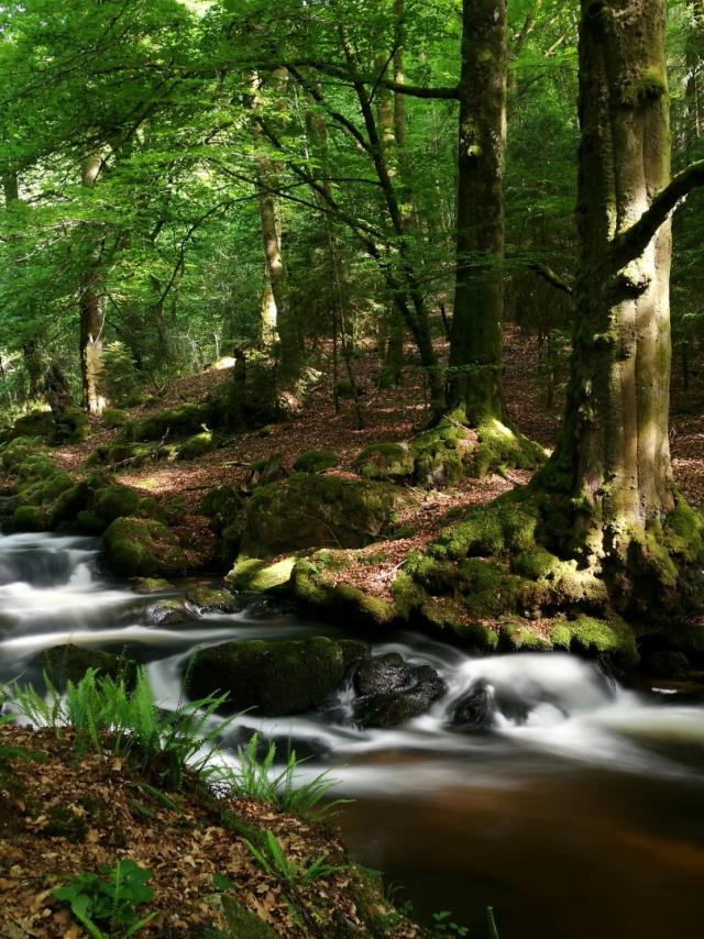 Cascade d'Augerolles