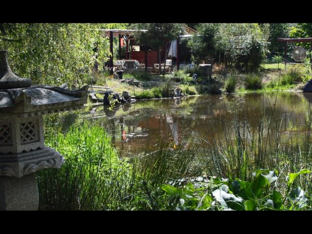 Jardin Artbotanic