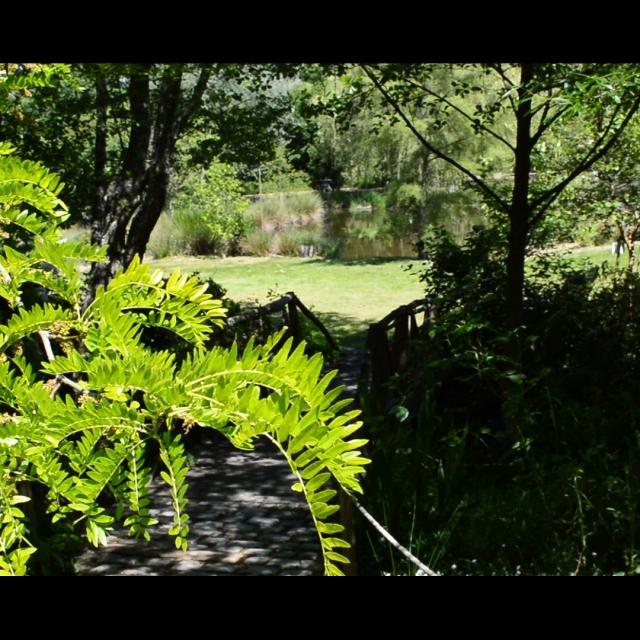 Jardin Artbotanic