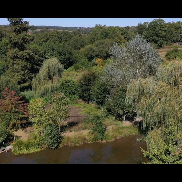 Jardin Artbotanic