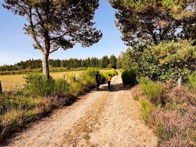 randonnee-millevaches-vallee-de-la-chandouille-gentioux.jpg