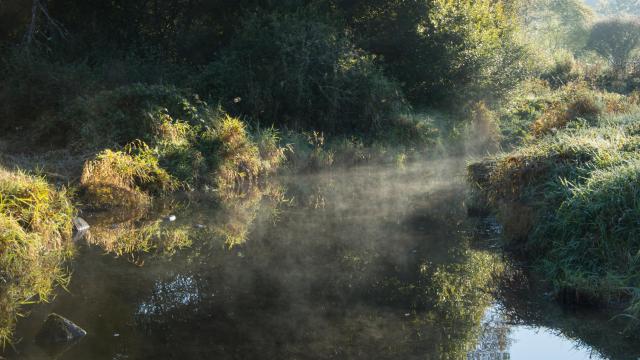 Brume sur la Creuse