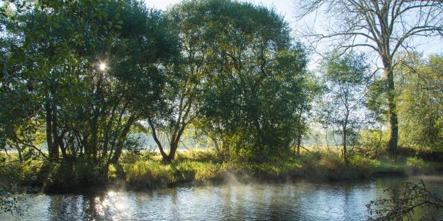 Matin en bord de Creuse