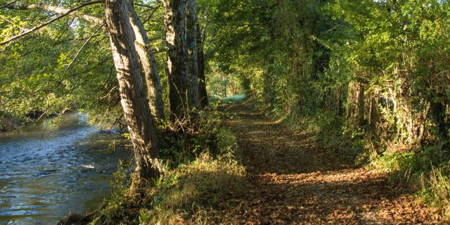 Chemin en bord de Creuse