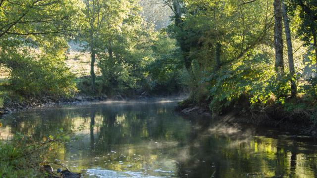 Matin d'automne sur la Creuse