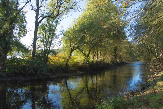 Matin d'automne sur la Creuse