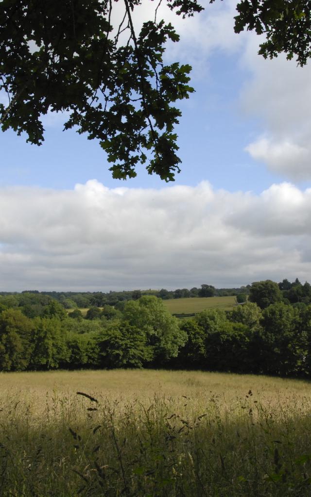 campagne-portes-de-la-creuse-en-marche.jpg