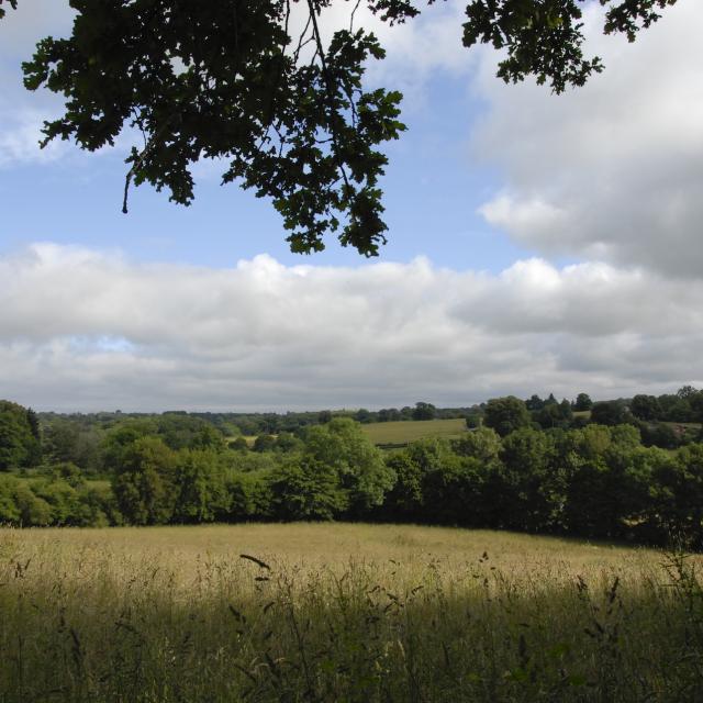 campagne-portes-de-la-creuse-en-marche.jpg