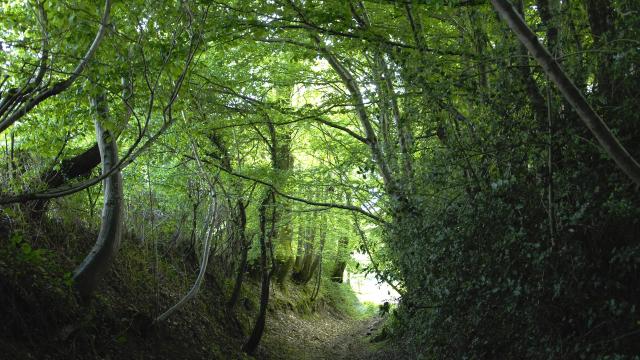 la-cellette-portes-de-la-creuse-en-marche.jpg