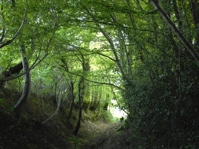 la-cellette-portes-de-la-creuse-en-marche.jpg