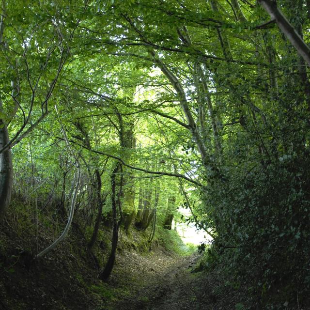 la-cellette-portes-de-la-creuse-en-marche.jpg