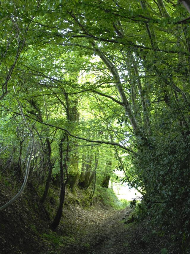 la-cellette-portes-de-la-creuse-en-marche.jpg