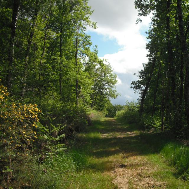 paysage-portes-de-la-creuse-en-marche.jpg