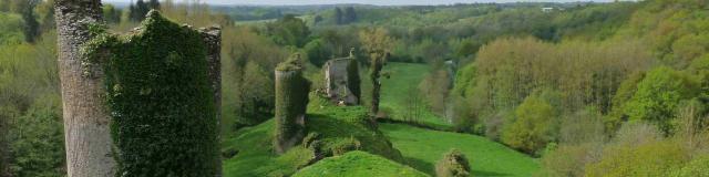 ruines-du-chateau-de-malval.jpg