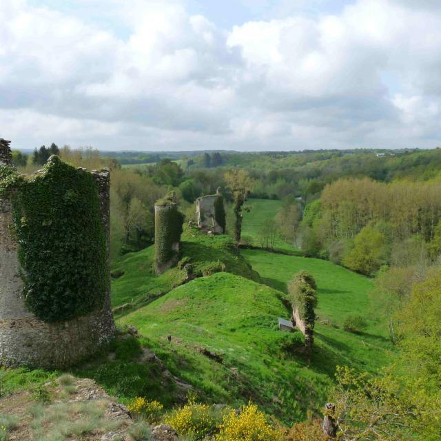 ruines-du-chateau-de-malval.jpg