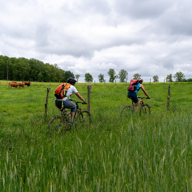 j1--la-souterraine-saint-silvain-montaigut-72dpi-50.png