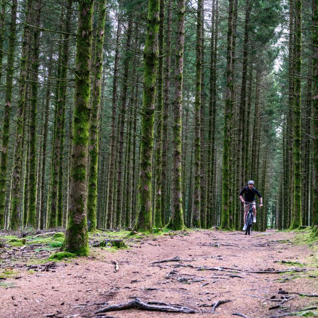 VTT dans les Monts de Guéret