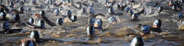 open-water-swim-2696689-1920.jpg