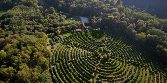 Labyrinthe Géant©jmpericat