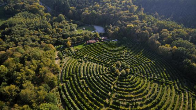 Labyrinthe Géant©jmpericat