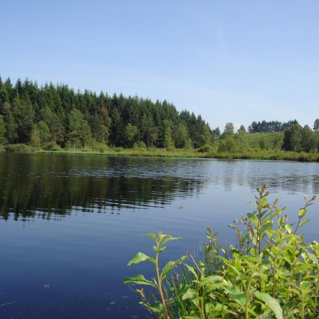 Etang de Faux