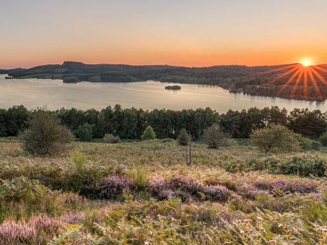 Lac de Vassivière®philippe Daurat