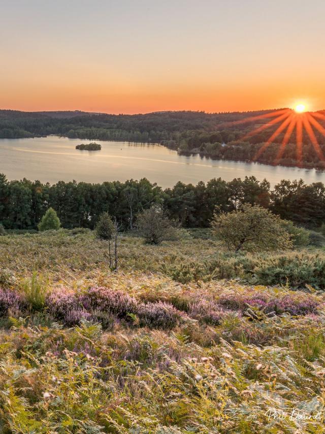 Lac de Vassivière®philippe Daurat