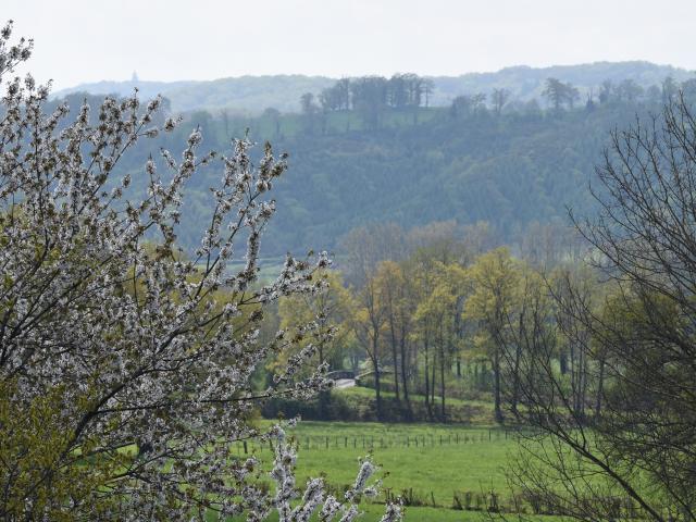 Paysage au printemps