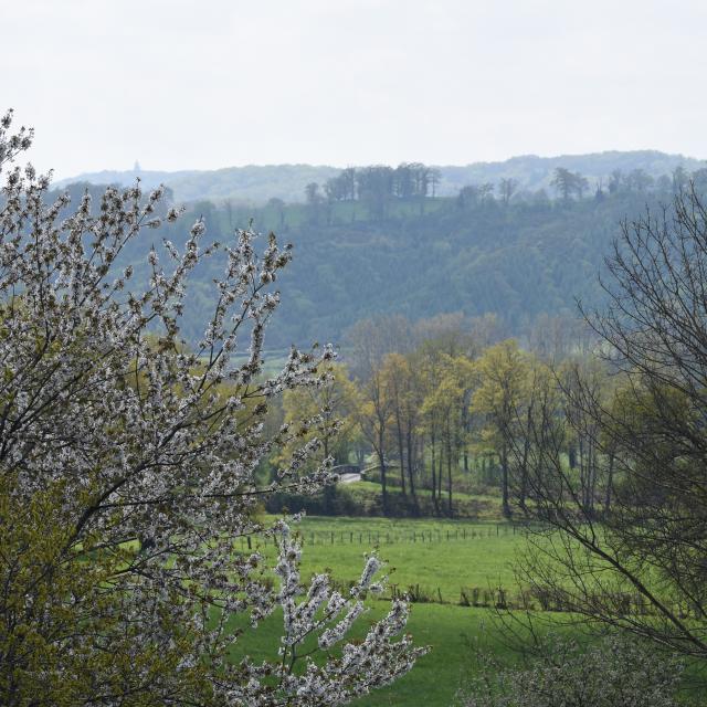 Paysage au printemps