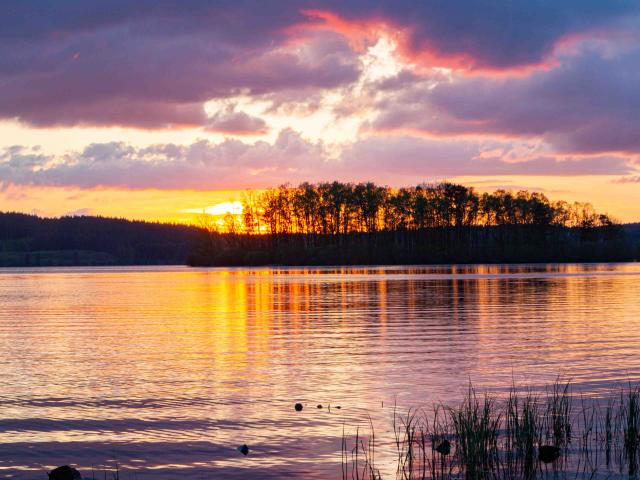 Lac de Vassiviere ©Maxime Authier 2022