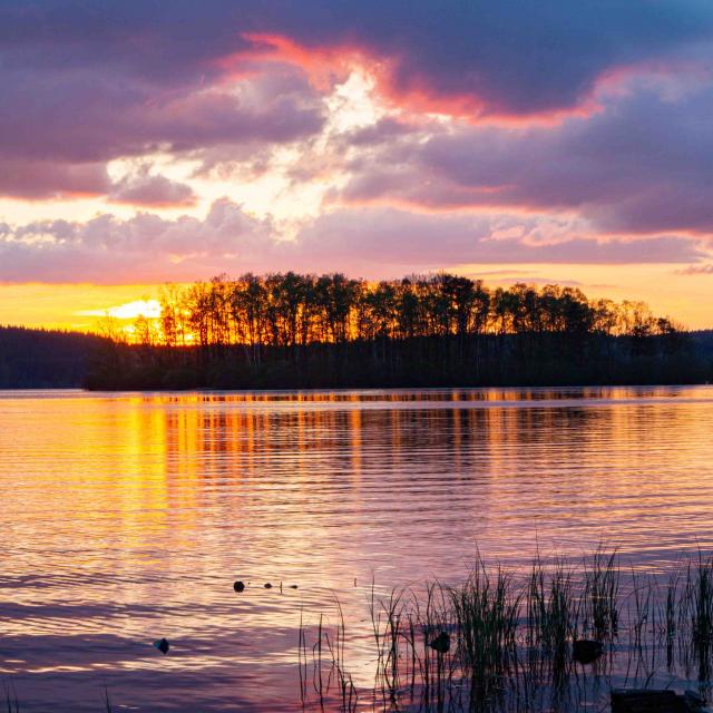 Lac de Vassiviere ©Maxime Authier 2022