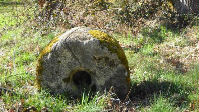 Chemin-ombragé-de-la-Fontaine-de-Chazelles.jpg