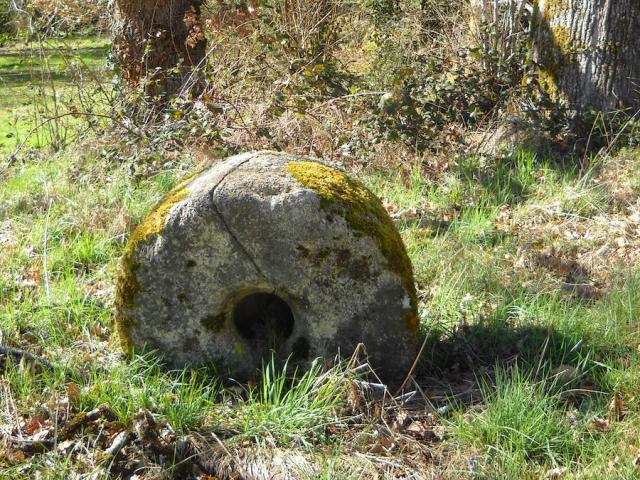 Chemin-ombragé-de-la-Fontaine-de-Chazelles.jpg